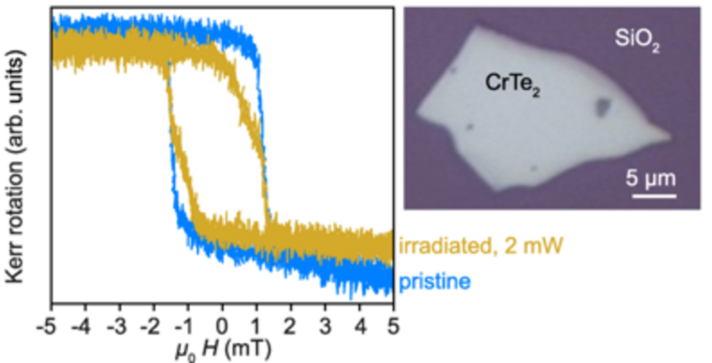 PhysRevMatFebruary2025